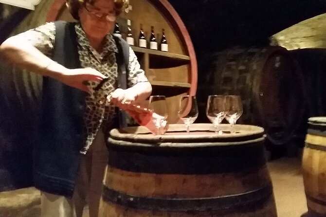 Beaujolais Region Wine Tasting Private Day Tour From Lyon - Key Points