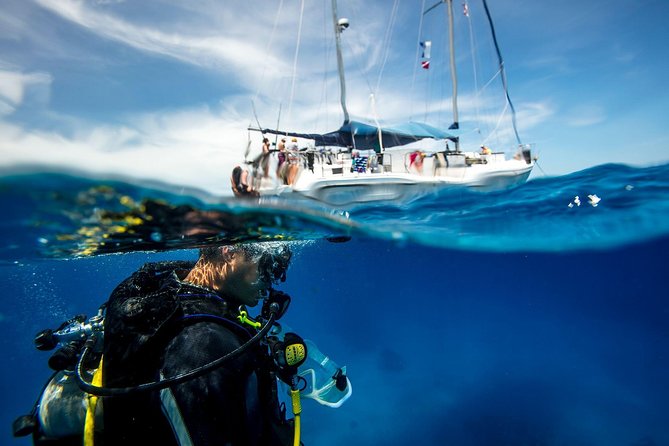 Beginner Diving Experience in Ligaria Bay - Just The Basics