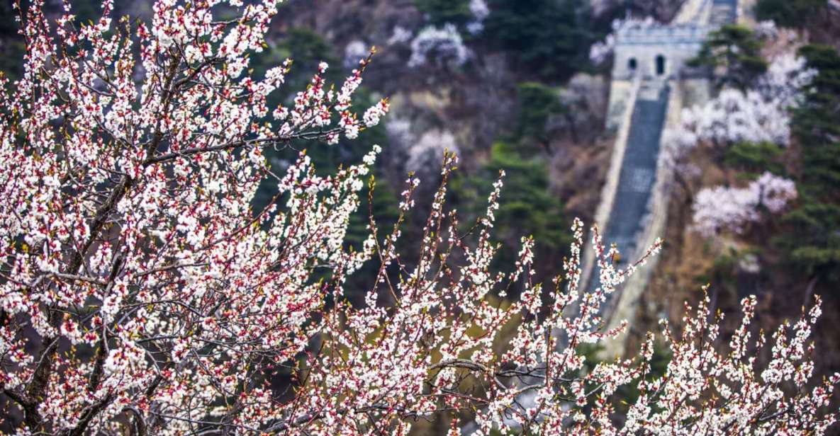 Beijing: Private Roundtrip Transfer to Great Wall of China - Just The Basics