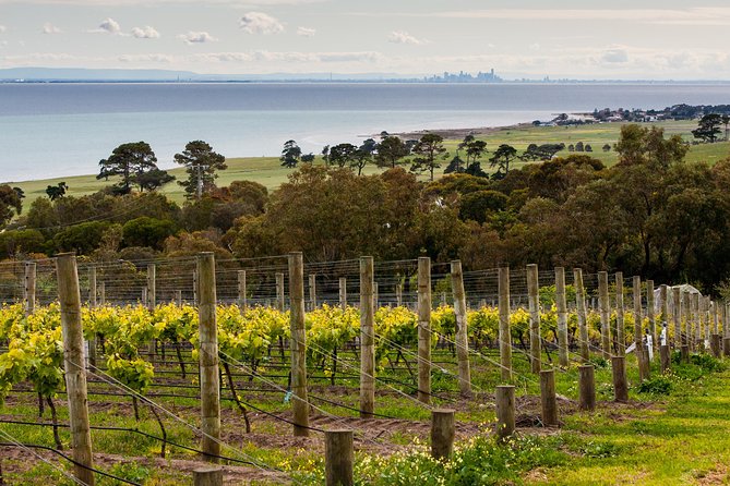 Bellarine Peninsula Small Group Wine Tour With 2 Course Lunch
