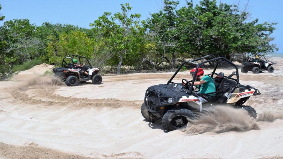 Benta River and Falls With Atv Adventures Private Tour - Key Points