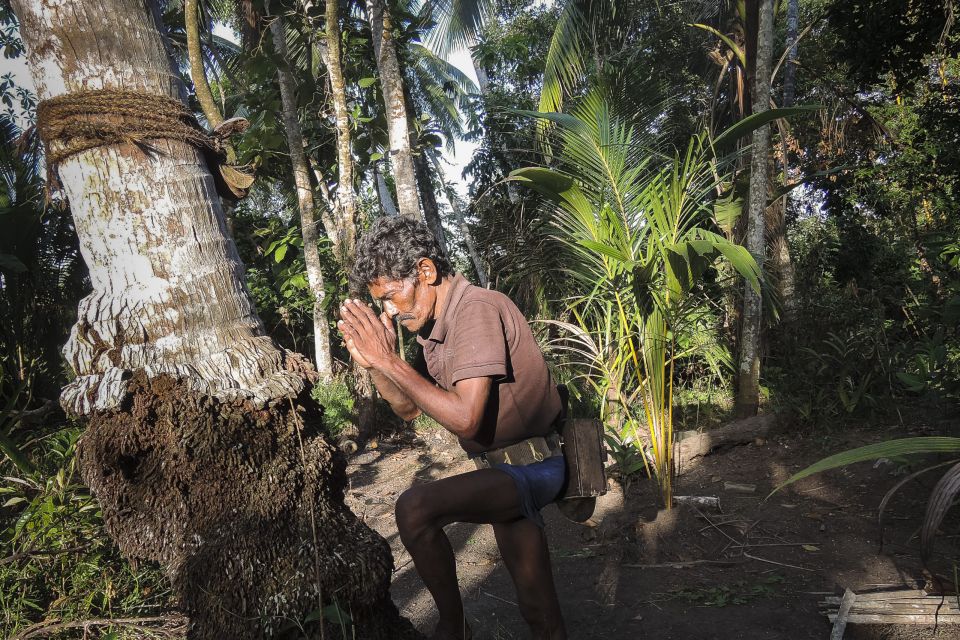 Bentota: Toddy Hunting Cycling Tour in the Countryside - Key Points