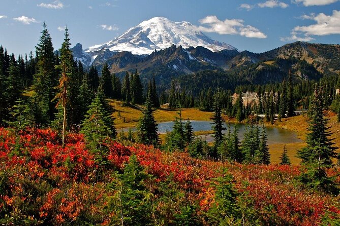 Best of Mount Rainier National Park From Seattle: All-Inclusive Small-Group Tour - Just The Basics