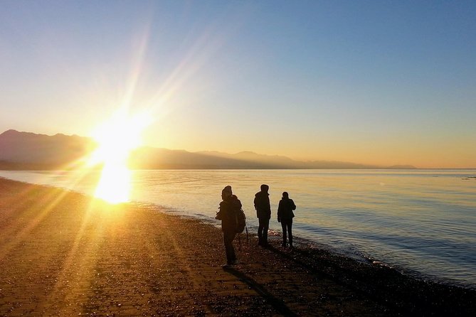 Best of Olympic National Park From Seattle: All-Inclusive Small-Group Day Tour - Tour Details