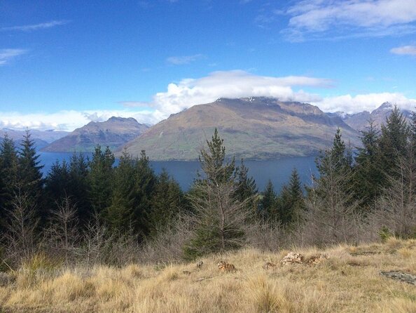 Best of Queenstown Sightseeing Tour - Key Points
