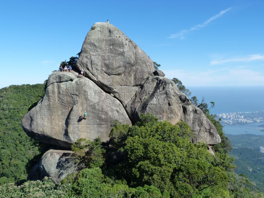 Bico Do Papagaio Guided Hiking Tour in the Tijuca Forest - Key Points
