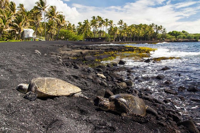 Big Island Highlights: Coffee, Volcano, Black Sands & Waterfall - Just The Basics