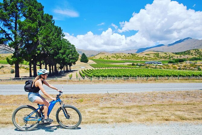 Bike the Valley of the Vines From Arrowtown- Return Shuttle From Queenstown - Key Points