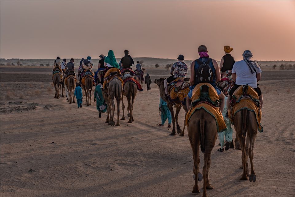 Billion of Stars Experience With Non Touristic Camel Safari - Key Points