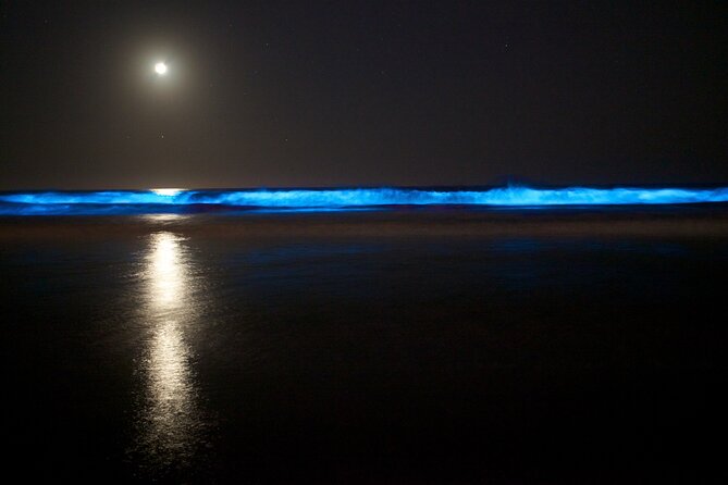 Bioluminescence Kayak Tour - Est. 1994 - Key Points