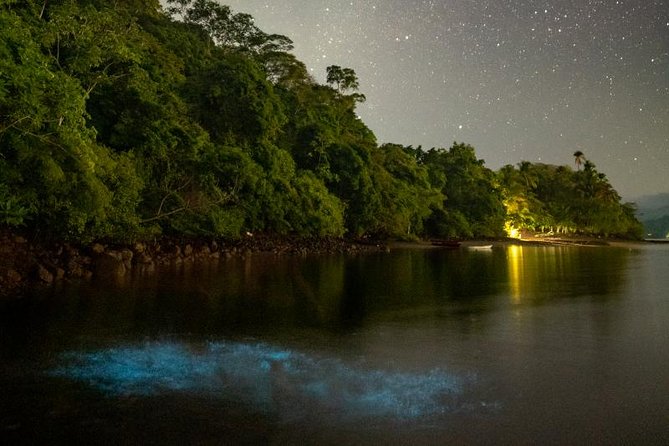 Bioluminescent Kayak Tour - Bioluminescent Kayak Tour Experience