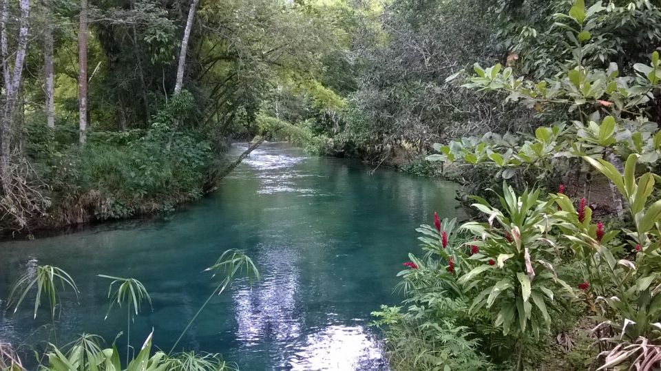 Blue Hole Rainforest Adventure - Just The Basics