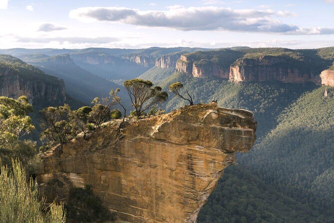 Blue Mountains and Empress Canyon Abseiling Adventure Tour (Mar ) - Key Points