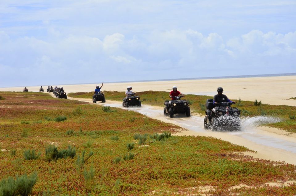 Boa Vista: Viana Desert Quad Bike Adventure - Key Points