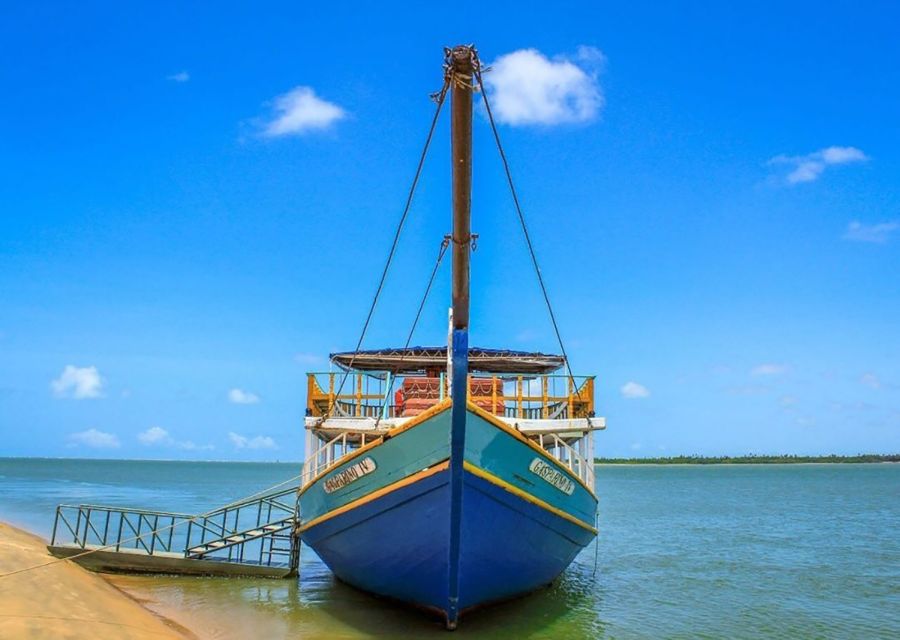 Boat Ride: São Francisco River, the Largest in Brazil - Key Points