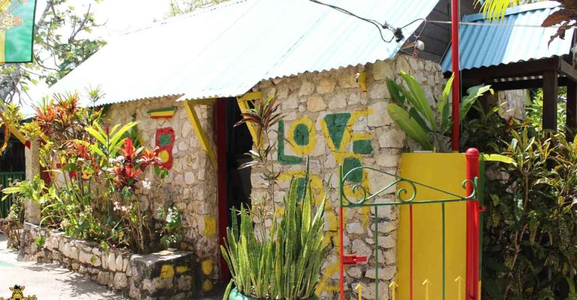 Bob Marley Birthplace and Dunn's River Falls Private Tour - Just The Basics
