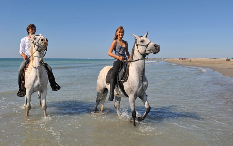 Bodrum: Horseback Riding Experience - Key Points