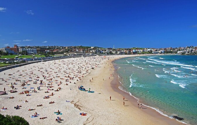 Bondi & Sydney Sights Trike Tour 1.5hrs - Key Points