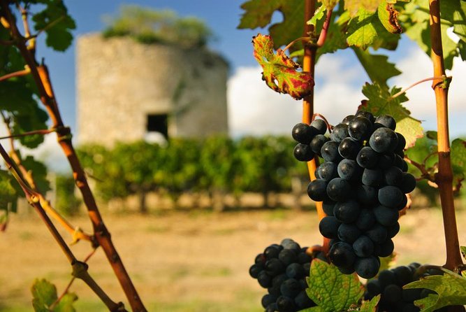 Bordeaux Super Saver Médoc Wine Tour With Lunch Plus St Emilion and Appetizer - Key Points