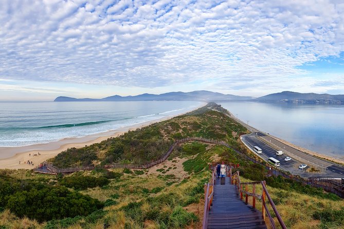 Bruny Island Food, Sightseeing, Guided Lighthouse Tour & Lunch - Tour Highlights