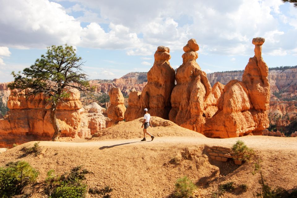 Bryce Canyon & Zion National Park: Private Group Tour - Key Points