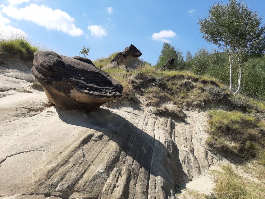 Bucharest: Berca Mud Volcanoes and Living Stones Day Trip - Key Points