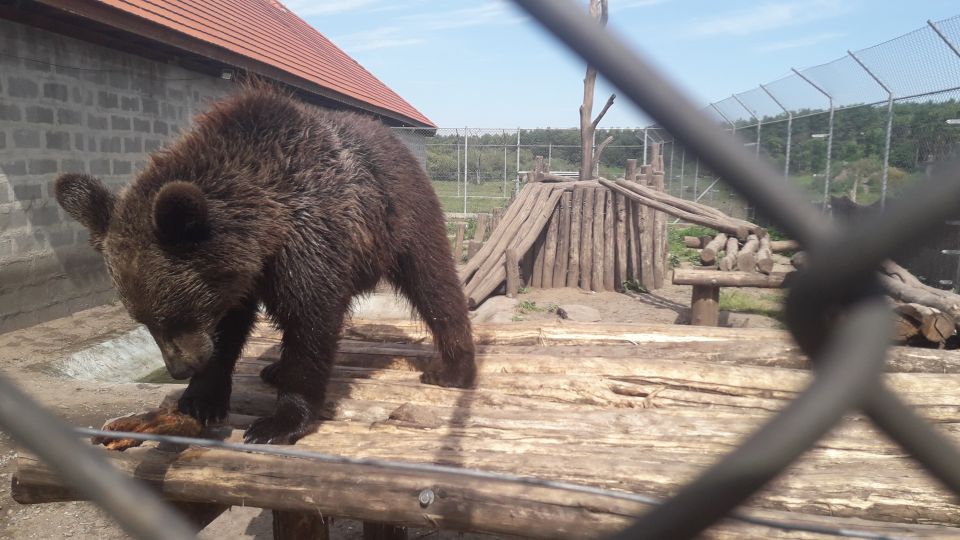 Budapest: Transport & Guided Tour of Bear and Wolf Sanctuary - Key Points