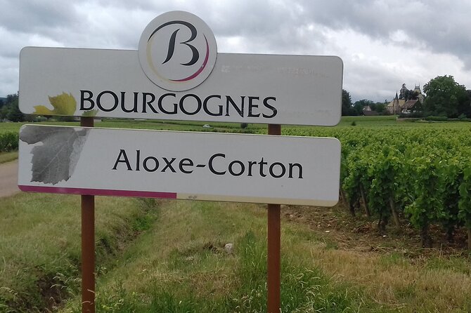 Burgundy Wine Lovers Day Tour With Private Driver - Key Points