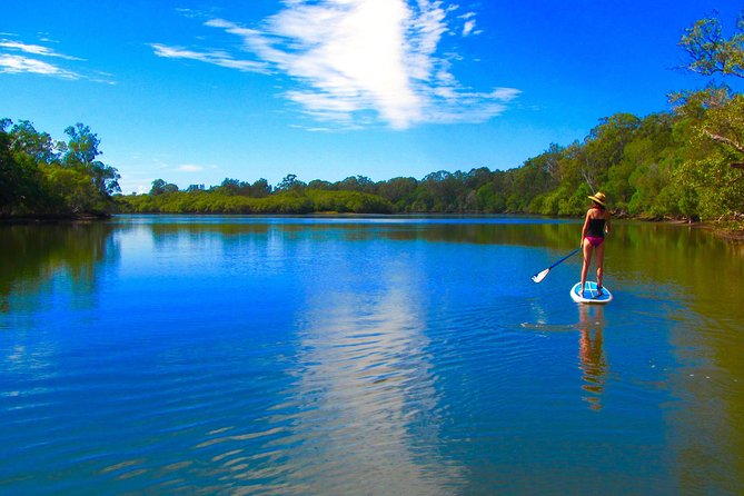 Byron Stand Up Paddle Nature Tour - Just The Basics