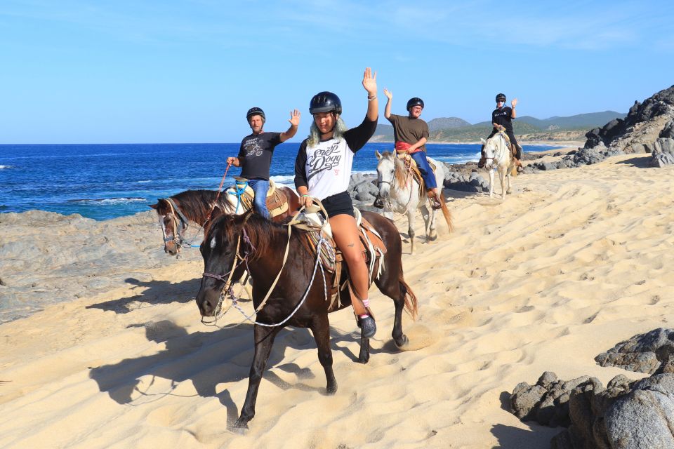 Cabo San Lucas: Beach & Desert Horseback Riding Tour - Key Points