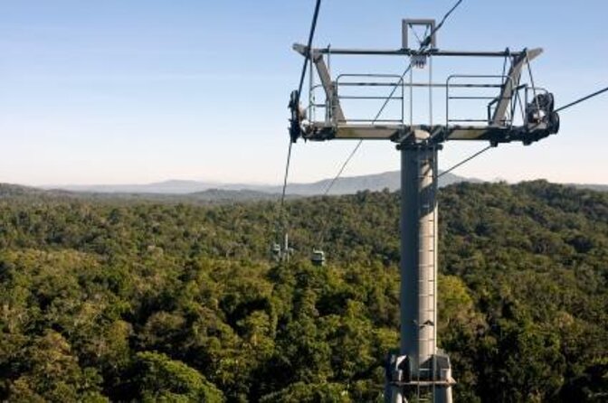 Cairns ATV Adventure Tour and Morning Skyrail - Key Points