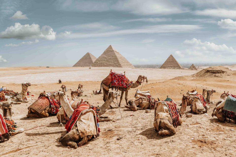 Cairo: 07 Nights Cairo, Aswan & Luxor Nile Cruise - Key Points