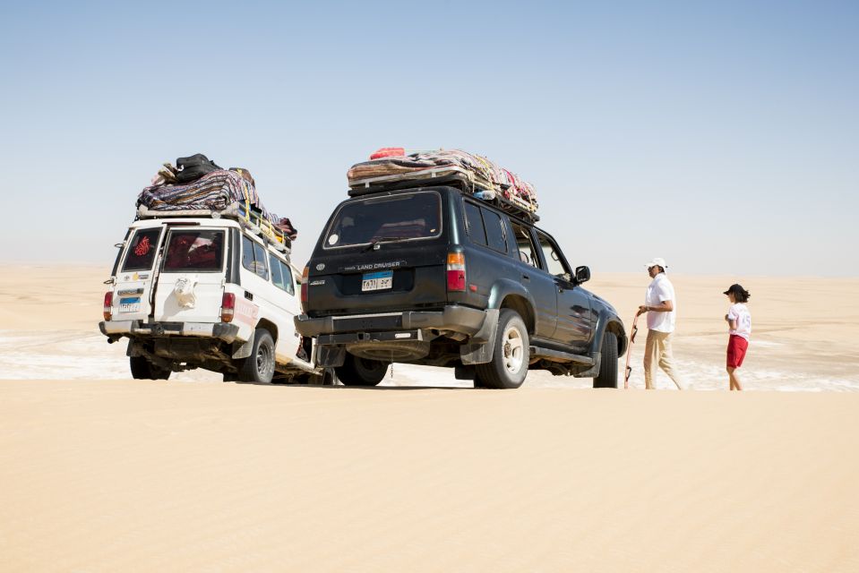 Cairo: 2-Day Bahariya Oasis Camp and Desert Tour - Key Points