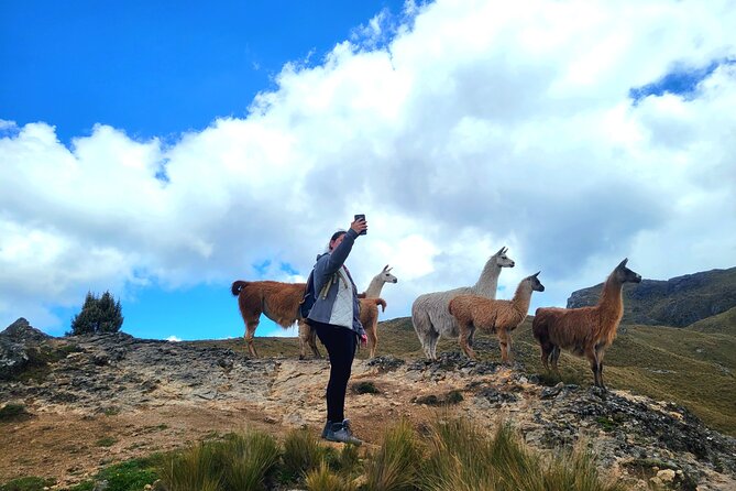 Cajas National Park Small-Group Tour From Cuenca - Tour Pricing and Duration