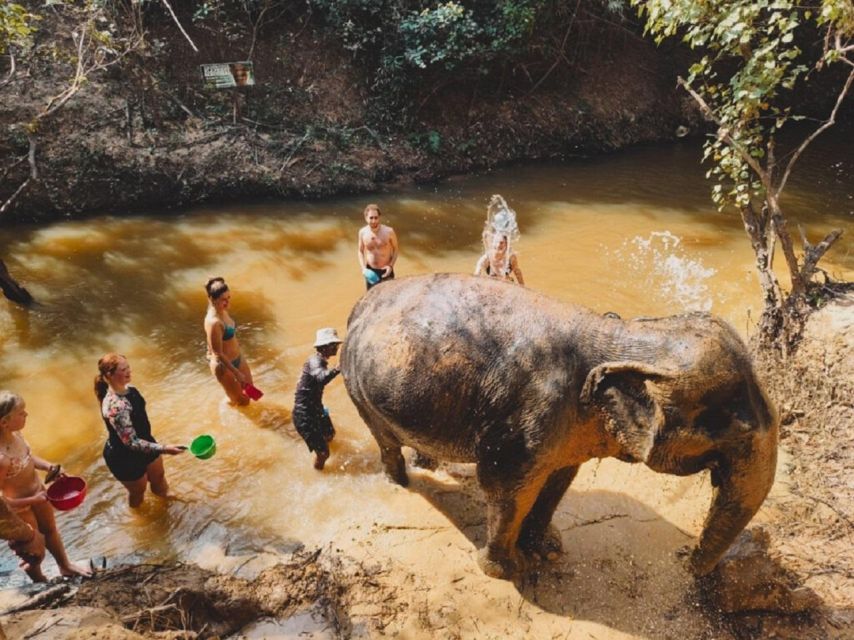Cambodia Elephant Sanctuary and Banteay Srey Temple Tour - Key Points