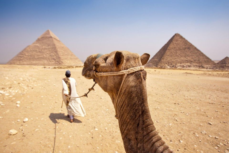 Camel or Horse Ride Tour at Giza Pyramids - Key Points