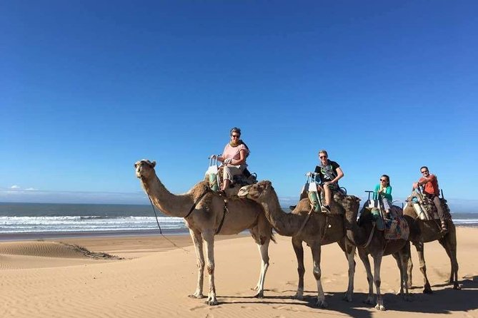 Camel Ride on the Beach of Essaouria - Activity Overview