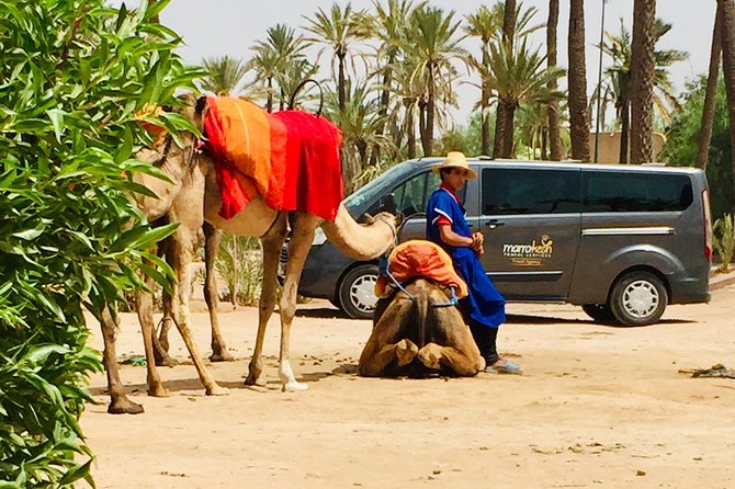 Camel Ride & Quad Biking Half Day in Marrakech - Key Points