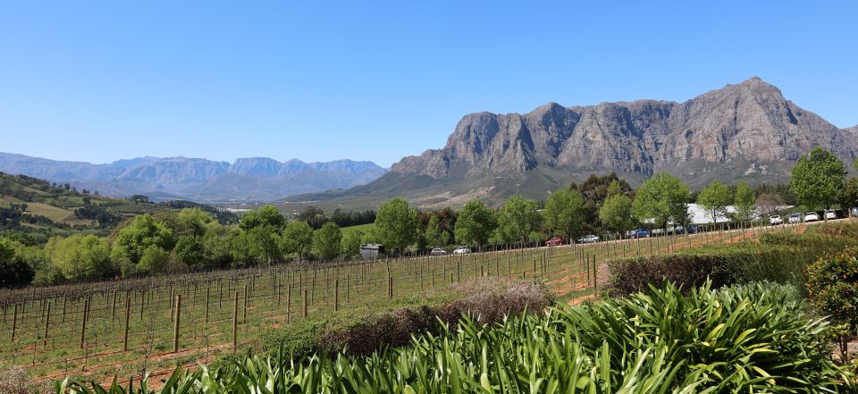 Cape Peninsula and Winelands Private Full-Day Combo Tour - Just The Basics