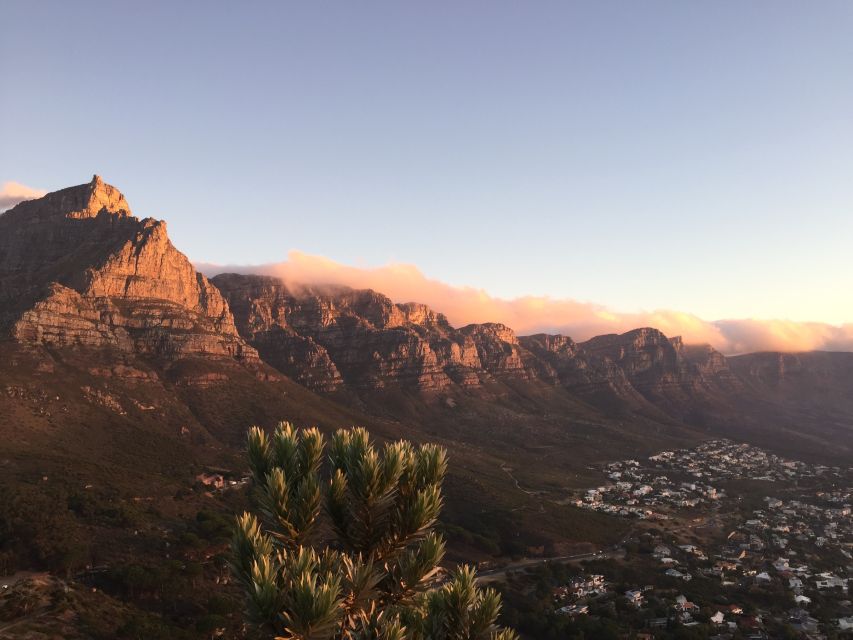Cape Peninsula Shared Half-Day Tour - Key Points