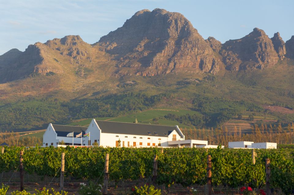cape point highlights tour with wine tasting in stellenbosch Cape Point Highlights Tour With Wine Tasting in Stellenbosch