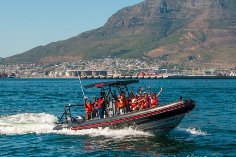 Cape Town: 1-Hour Sunrise Ocean Safari