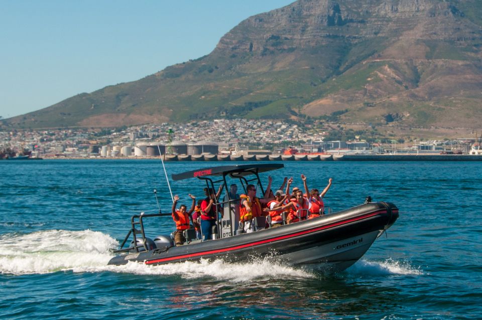 cape town 1 hour sunrise ocean safari Cape Town: 1-Hour Sunrise Ocean Safari