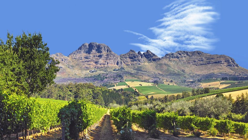 Cape Town: 3 Regions Private Cape Winelands Tour - Just The Basics