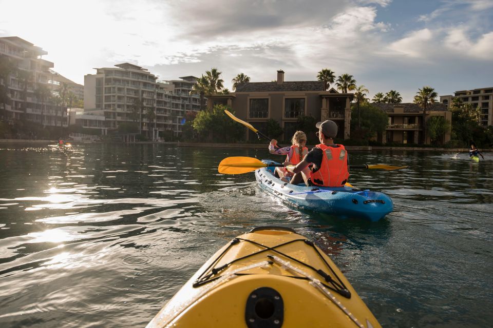 Cape Town: Day or Night Guided Kayak Tour in Battery Park - Key Points