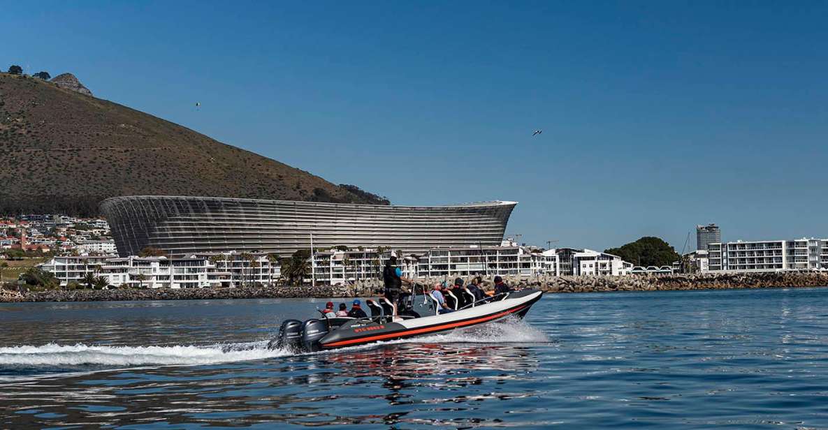 Cape Town: Guided Marine Wildlife Cruise and Cape Point Tour - Just The Basics