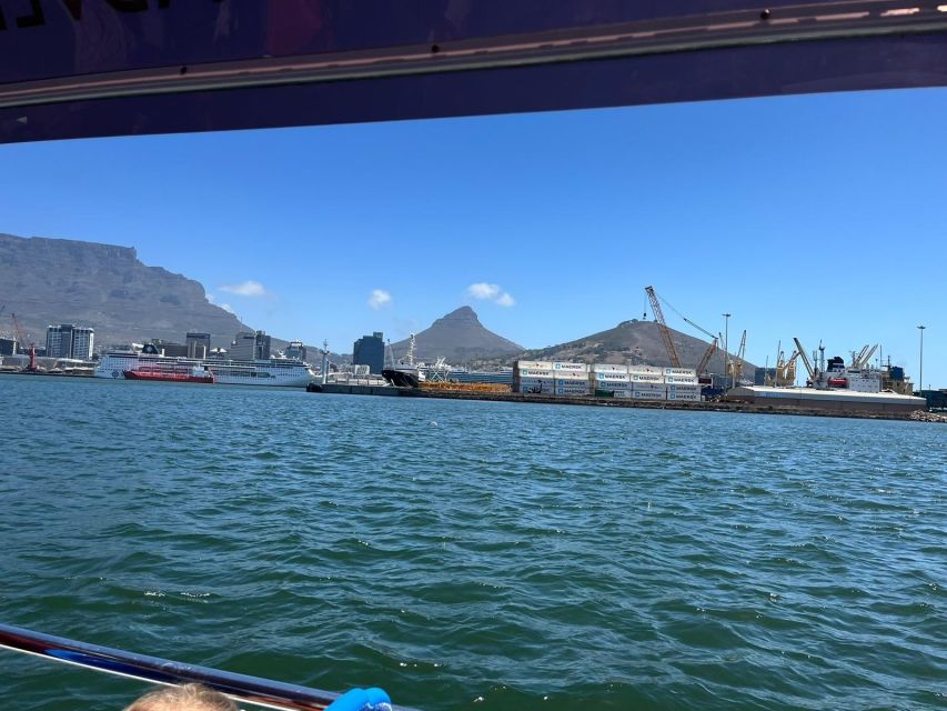 Cape Town: Harbor Cruise - Key Points