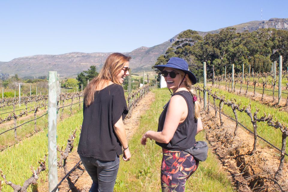 Cape Town: Iconic Constantia Food, Wine and Story Walk - Just The Basics