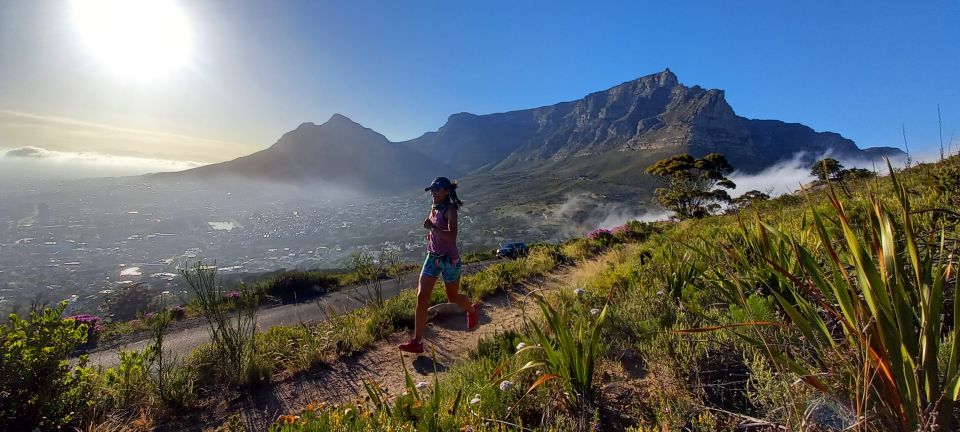 Cape Town: Lion's Head and Signal Hill Morning Trail Run - Key Points