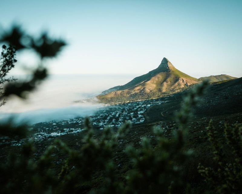 cape town lions head hiking Cape Town: Lion's Head Hiking Experience
